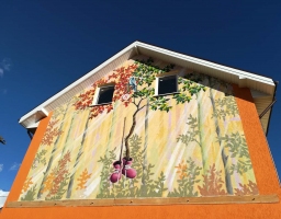 Область применения красок для фасада